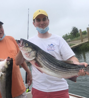 Hook striped bass in Eastham, MA!